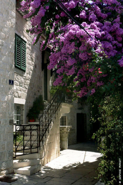 Split, Croatie, 2007 © Sophie Timsit