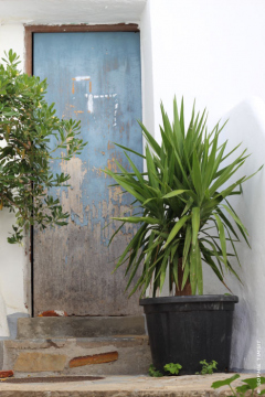 Casares, Espagne, 2014 © Sophie Timsit