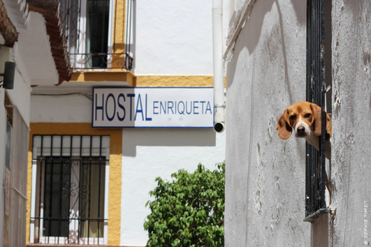 Marbella, Espagne, 2014 © Sophie Timsit