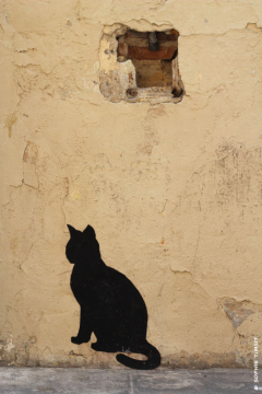 Valence, Espagne, 2014 © Sophie Timsit