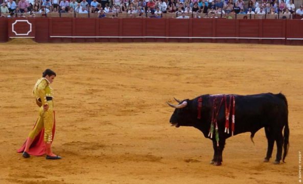 Séville, Espagne, 2011 © Sophie Timsit
