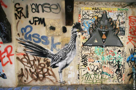 Paris, France, 2012 © Sophie Timsit