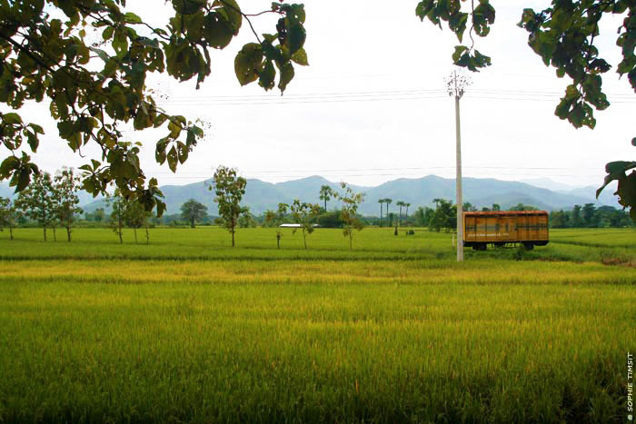 San Kamphaeng, Thaïlande, 2011 © Sophie Timsit