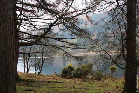 Glendalough, Irlande, 2014 © Sophie Timsit