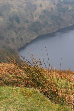 Black Lake, Irlande, 2014 © Sophie Timsit