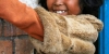 Atsongo, Madagascar, 2011 © Sophie Timsit