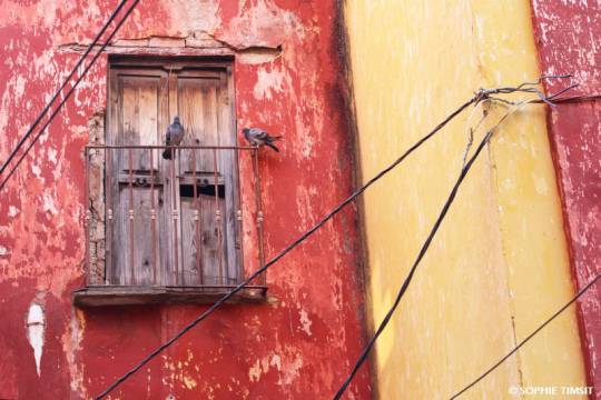 Guanajato, Mexique, 2019 © Sophie Timsit