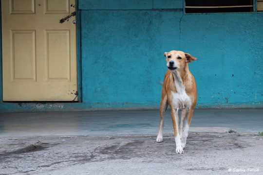 Nicaragua, 2016 © Sophie Timsit