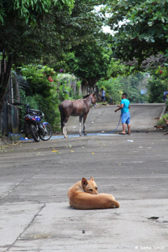 Nicaragua, 2016 © Sophie Timsit