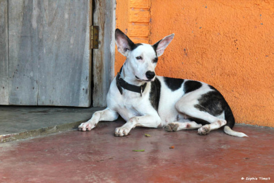 Nicaragua, 2016 © Sophie Timsit