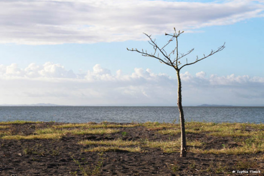 Nicaragua, 2016 © Sophie Timsit
