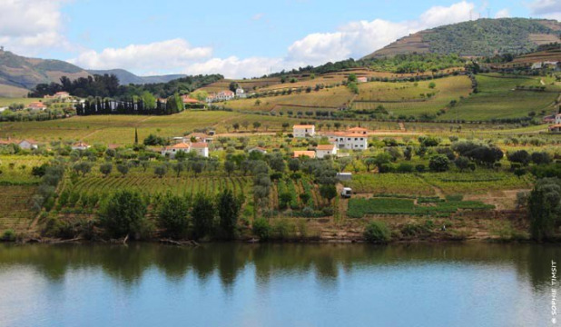 Vallée du Douro, Portugal, 2013 © Sophie Timsit