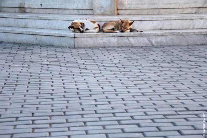 Cuba © Sophie Timsit
