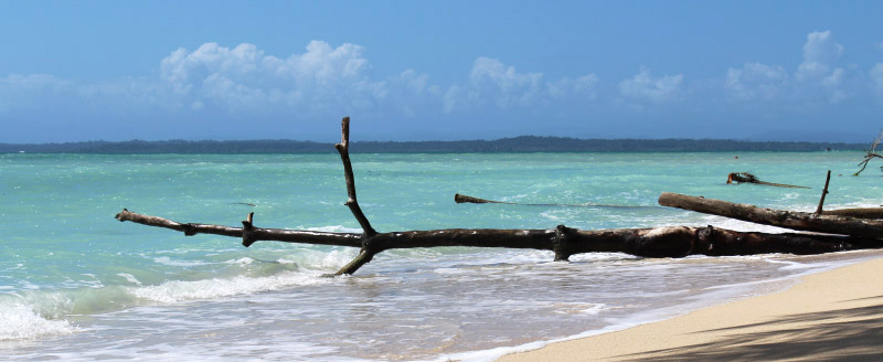 Panama © Sophie Timsit