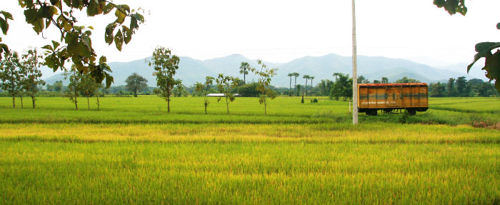 Thaïlande © Sophie Timsit